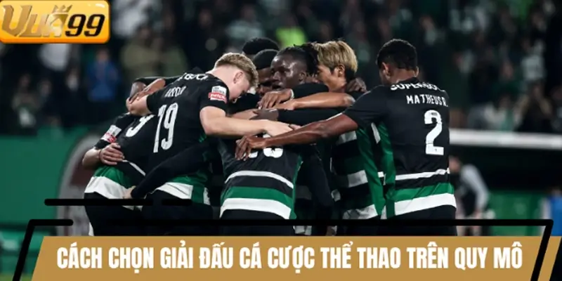 Cách chọn giải đấu khi chơi cá cược thể thao trên quy mô