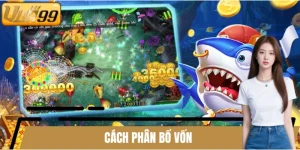 Cách phân bổ vốn