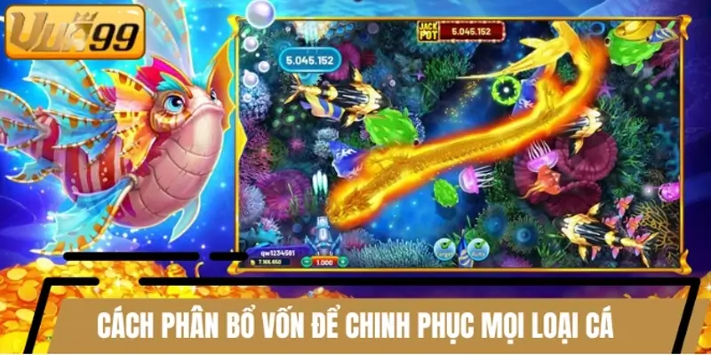 Cách phân bổ vốn để chinh phục mọi loại cá