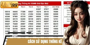 Cách sử dụng thống kê