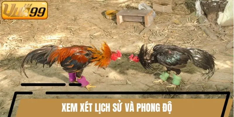 Để nhận diện gà đòn - gà cựa, đừng quên theo dõi lịch sử