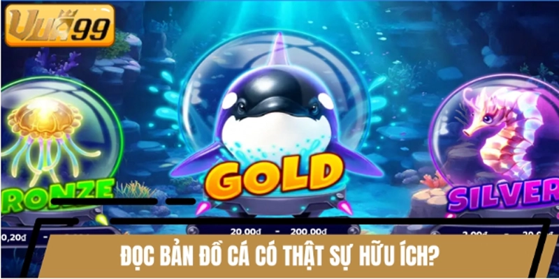 Đọc bản đồ cá có thật sự hữu ích?