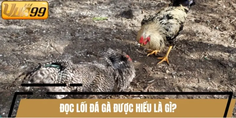 Đọc lối đá gà được hiểu là gì?