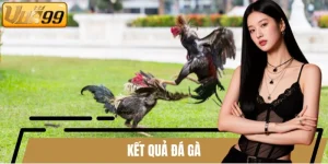 Kết quả đá gà