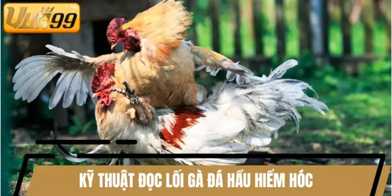 Kỹ thuật đọc lối gà đá hầu hiểm hóc