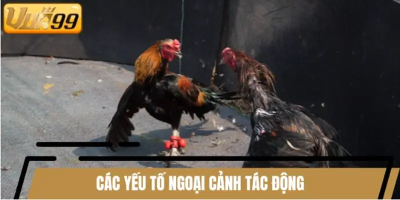 Một số yếu tố thường tác động đến việc lật chuyển tình thế