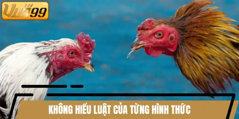 Nếu không hiểu rõ từng loại hình, bạn sẽ thua lỗ