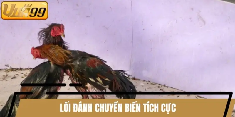 Nếu lối đánh xoay chuyển, khả năng đá gà có thể lật kèo