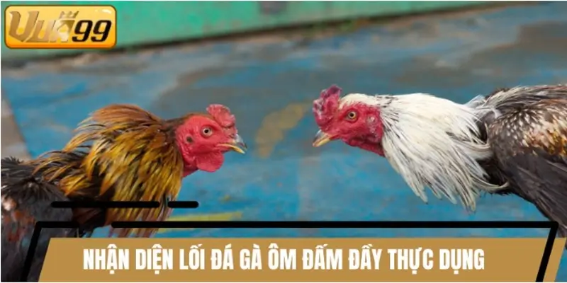 Nhận diện lối đá gà ôm đấm đầy thực dụng