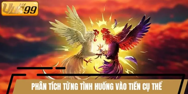 Phân tích từng tình huống vào tiền cụ thể