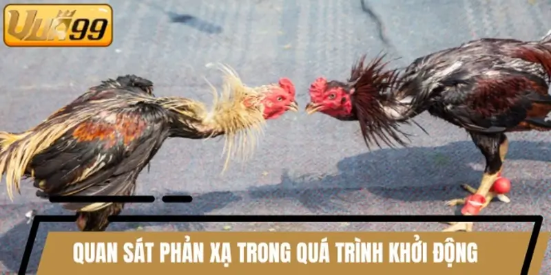 Quan sát phản xạ trong quá trình khởi động