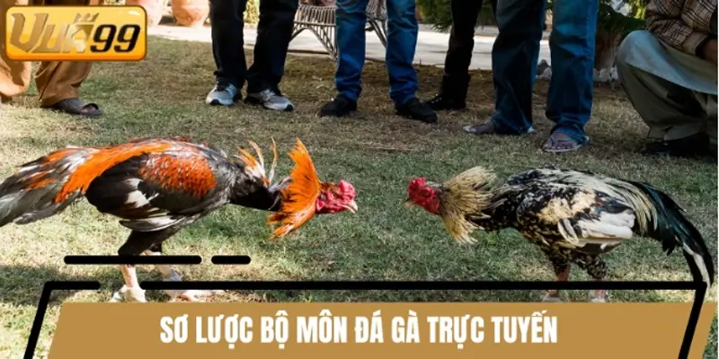 Sơ lược bộ môn đá gà trực tuyến