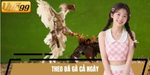 Theo đá gà cả ngày