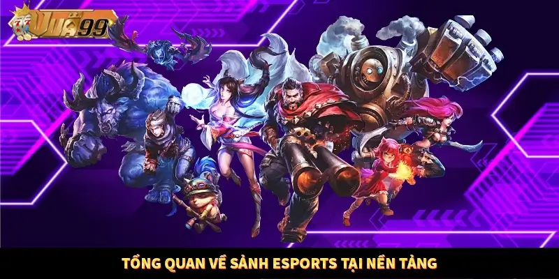 Tổng quan về sảnh esports tại nền tảng