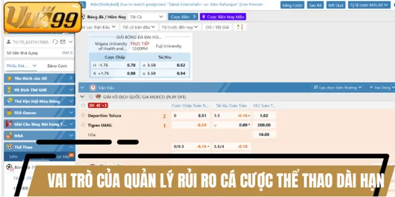 Vai trò của quản lý rủi ro cá cược thể thao dài hạn